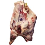Whole Beef Forequarter Cut & Packed