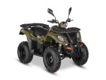 AU300 Efi 4 Stroke Quad - Electric Start + Reverse - Green