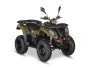AU300 Efi 4 Stroke Quad - Electric Start + Reverse - Green