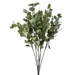 - Eucalyptus Money Leaf Pack Of 6 Stems - 89CM