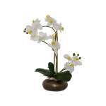 White Real Touch Orchid