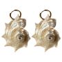 Natural Spiny Seashells Dangle Earrings Lightweight Hoops Unique Ear