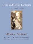 Owls And Other Fantasies: Poems And Essays Hardcover