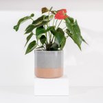 Ceramic Planter - Cloudy Grey - Medium 18 X 16.5CM