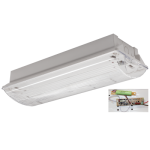 Emergency Light CF133
