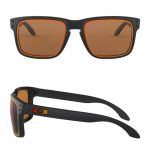 Oakley Holbrook