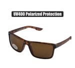 Sunglass Pol mens
