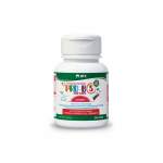 PRO-B5 Junior Chews 10'S