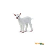 Farm Goat Kid