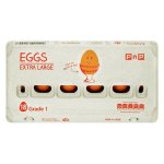 Pnp Extra Large Eggs 18 Pack