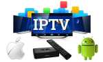 Iptv License 12MONTH 1+1 |