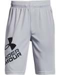 Boys' Ua Prototype 2.0 Logo Shorts - Mod GRAY-011 Ymd
