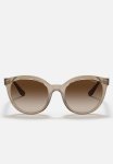 Vogue - VO5427S - Transparent Brown