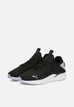 Puma Amare