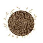 Caraway Seeds - 100G