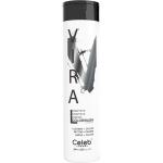Celeb Luxury Viral Extreme Colorwash Graphite 244ML