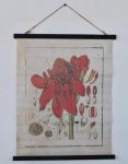 Red Botanical Hanging Print – 72X58CM
