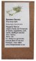 Heirloom Herb Seeds - Summer Savory