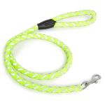 Dog Leash Neon Green