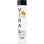 Celeb Luxury Viral Extreme Dual-use Blonditioner 244ML