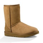 Classic Short II - Chestnut - 9