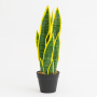 Artificial Snake Plant In Pot Sansevieria Decorative Indoor Plant