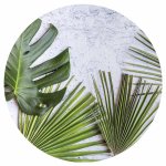 Palm Leaves Green Leaves On White Round Coaster