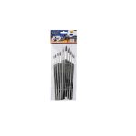 Statesman Art Brushes Set Of 10