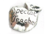 FLC150 - Special Teacher Apple Floating Charm For Floating Locket Necklace
