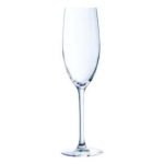 Champagne Glass Classique Flute 240ML Case Pack Of 24