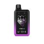 Alpha 2-IN-1 25000 Puffs Disposable Vape - Grape Ice/aloe Grape