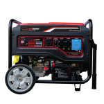 6.5KW Petrol Generator 8KVA