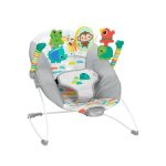 Bright Starts Paradise Vibrating Bouncer