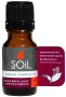 Cinnamon Leaf Essential Oil 10ML