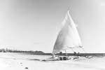 Island Sails Art Print - Matte Fine Art Print No Frame A2