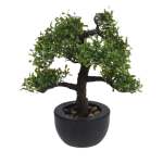 Bonzai Tree In Pot 32X32X50CM - Tear Drop Leaves