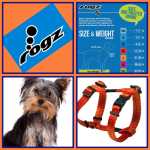 Rogz Classic H Harness Small Opens 23-37CM SJ14