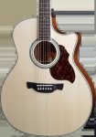 Gae 8N Acoustic – Electric Guitar
