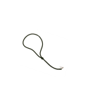 Lanyard