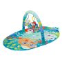 Mighty Milestones Play Gym