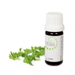 Escentia Origanum Origanum Vulgare Pure Essential Oil