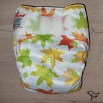 Omnia V2 – Autumn