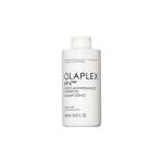 NO.4F Fine Bond Maintenance Shampoo 250ML