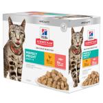 Perfect Weight Feline Adult With Chicken & Salmon Pouches - 12X85 Grams