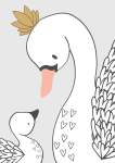 Swan Love Grey - Acrylic Wall Print - 600MM X 600MM
