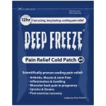 Deep Freeze Pain Relief Cold Patch 4 Pack