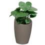 Premium Estantia Plant Pot - Small 410MM X 280MM / Flinted White / Standard