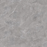 Thunder Grey Stoneware 800 X 800 Mm