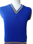 Genius Royal And Gold Striped School Pullover