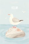 Hello Seagull - Wall Art Print - A1